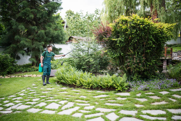 Best Pest Removal Services  in Fairview Park, IN